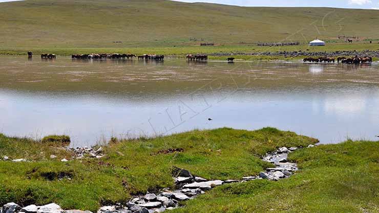 CENTRAL MONGOLIA & GOBI DESERT OVERLAND EXPEDITION