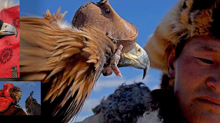 GOLDEN EAGLE FESTIVAL TOUR