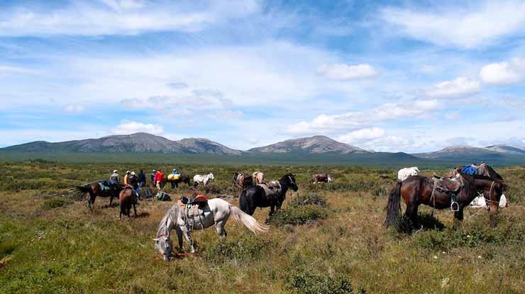 TSAATAN REINDEER HERDERS TOUR