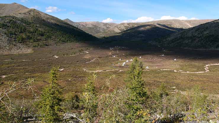 TSAATAN REINDEER HERDERS TOUR