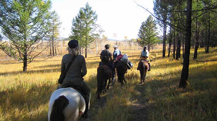 TSAATAN REINDEER HERDERS TOUR