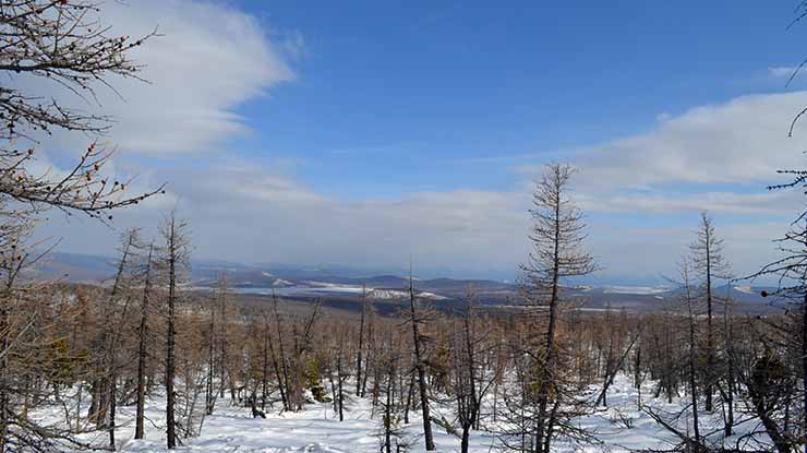 TSAATAN REINDEER HERDERS TOUR (WINTER)