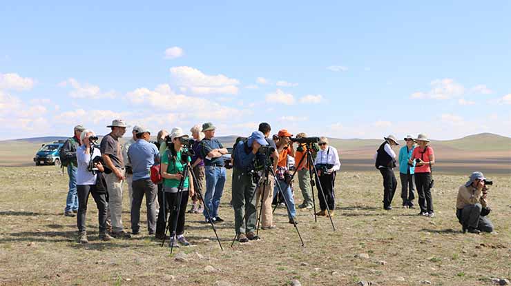 EASTERN MONGOLIA BIRDING TOUR