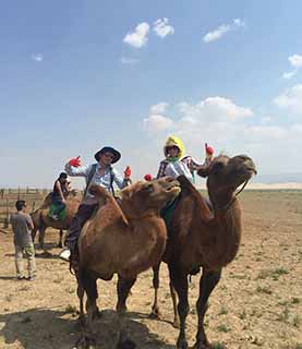 GOBI DESERT CAMEL TREKKING TOUR