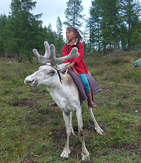 HORSE RIDE TO TSAATAN & TREK TO KHUVSGUL LAKE
