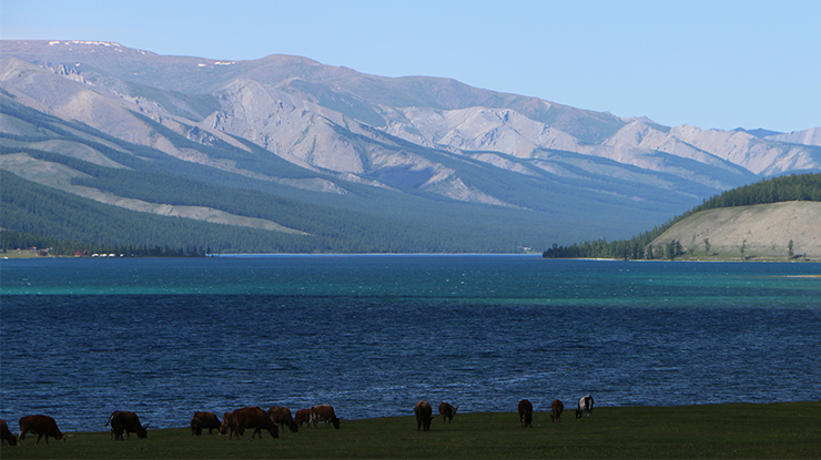Scenic view of Khuvsgul Lake, Mongolia, surrounded by lush forests - top destination for nature lovers