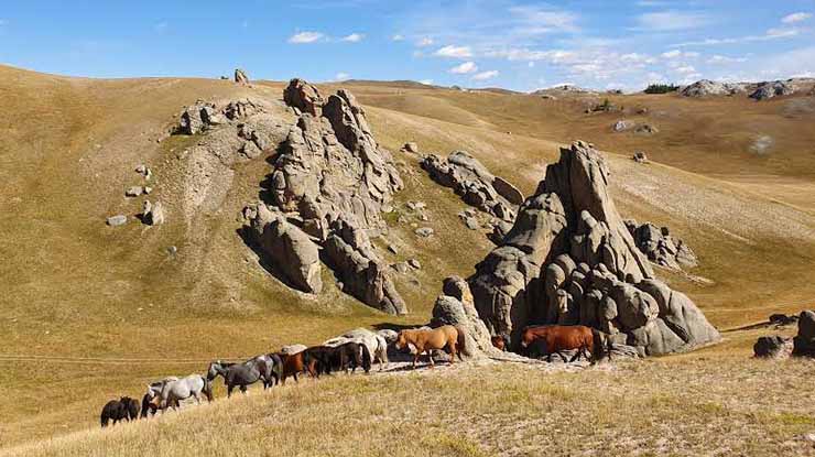 LAKE KHUVSGUL MULTI-ACTIVITY TOUR