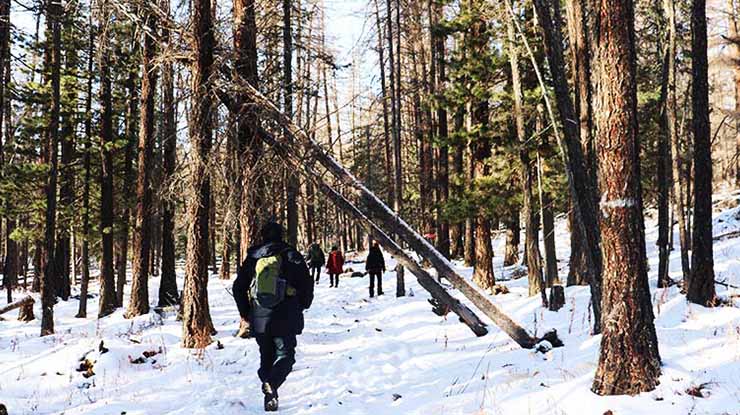 BOGD KHAN MT HIKING