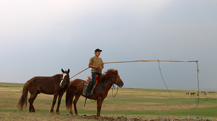 Mongolian rider on a horseback with a lasso pole